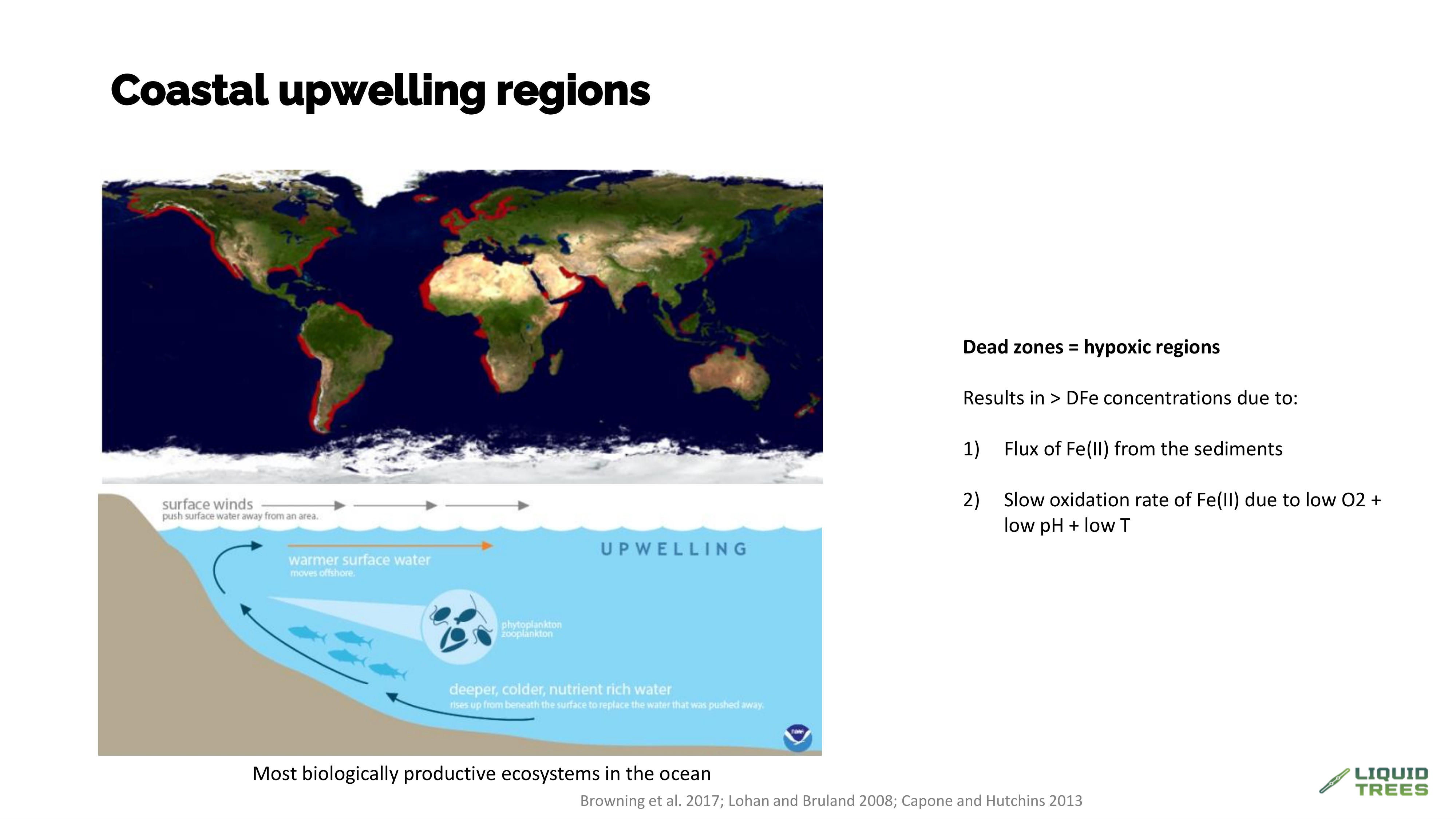 Illustration of wind-driven coastal upwelling bringing nutrient and iron-rich waters to the surface